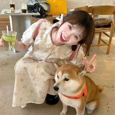 路边春 海报